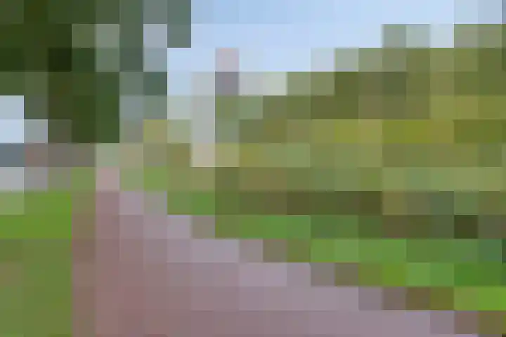 Beethovenlaan 31 Goes thumbnail 37