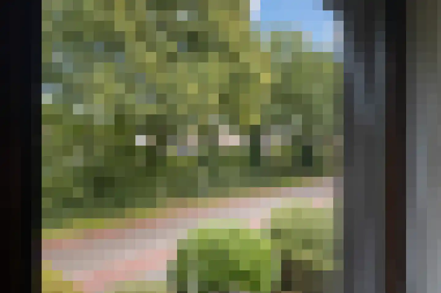 Beethovenlaan 31 Twello thumbnail 15