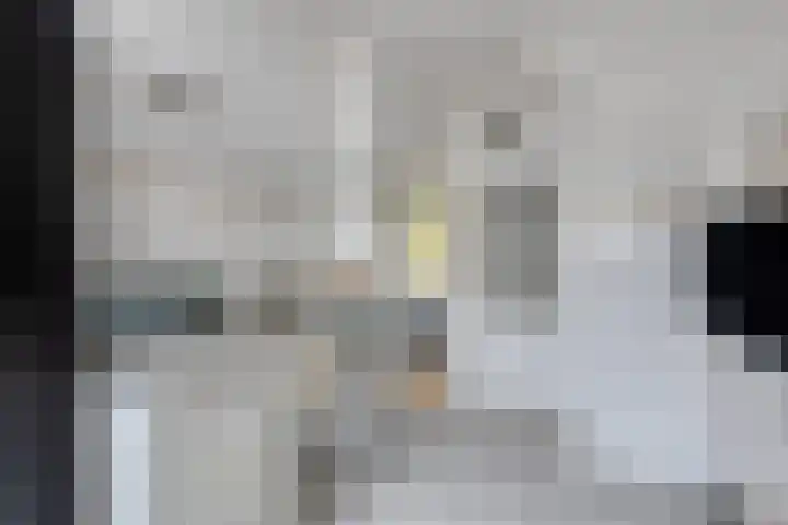 Beethovenlaan 313 Tilburg thumbnail 11