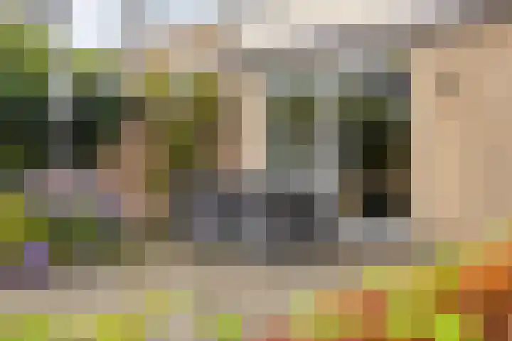 Beethovenlaan 313 Tilburg thumbnail 31