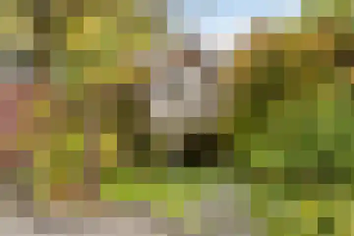 Beethovenlaan 313 Tilburg thumbnail 32
