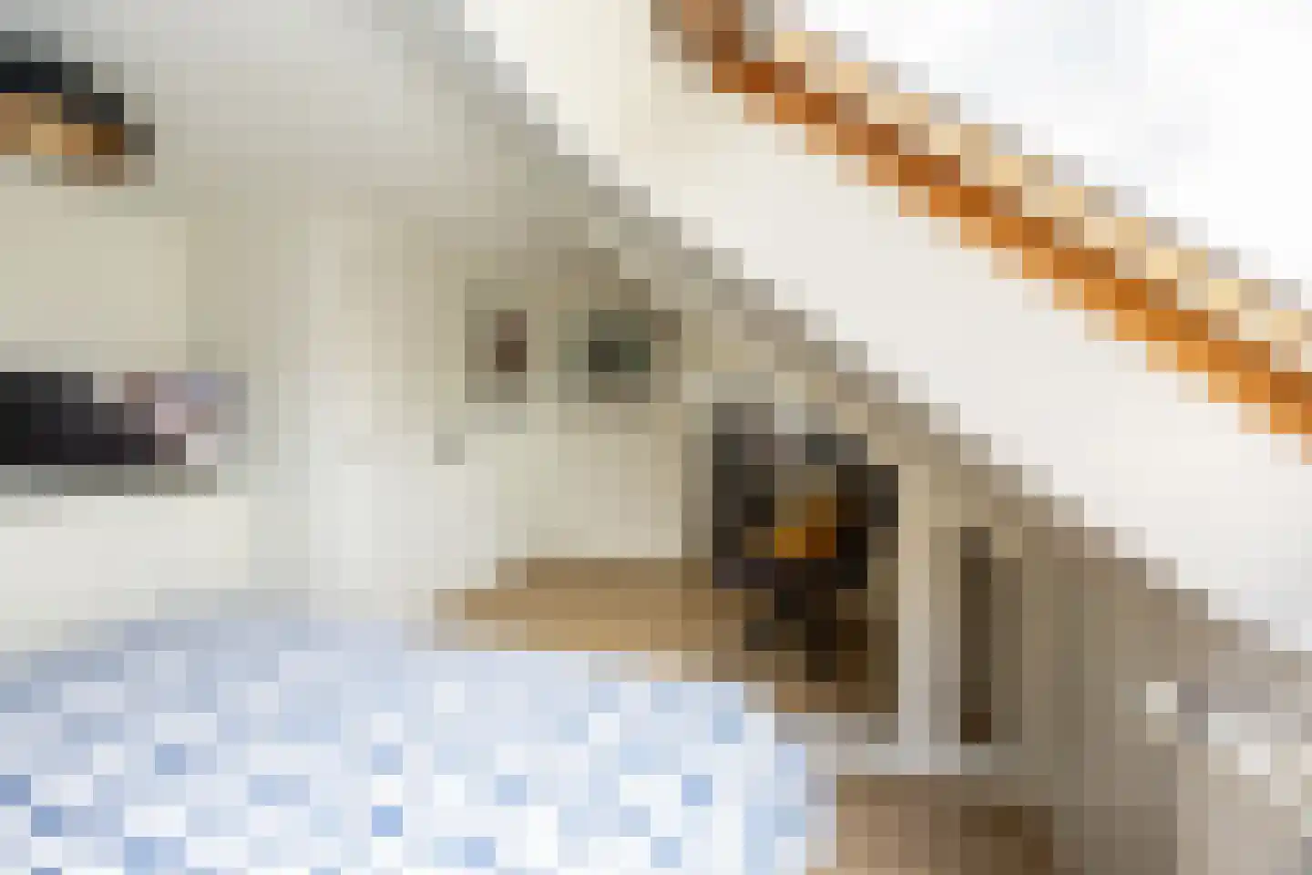 Beethovenlaan 32 Heemstede thumbnail 47