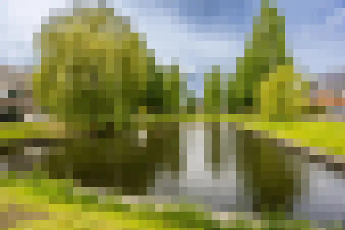 Beethovenlaan 32 Heemstede thumbnail 60