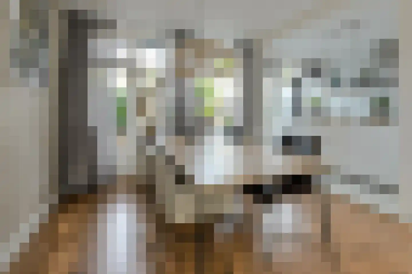 Beethovenlaan 32 Oosterhout thumbnail 11
