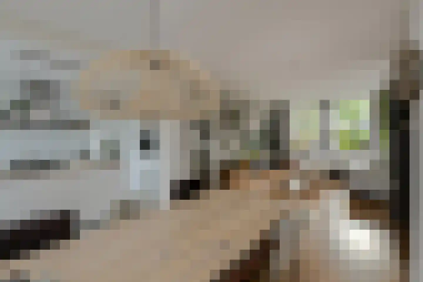 Beethovenlaan 32 Oosterhout thumbnail 18