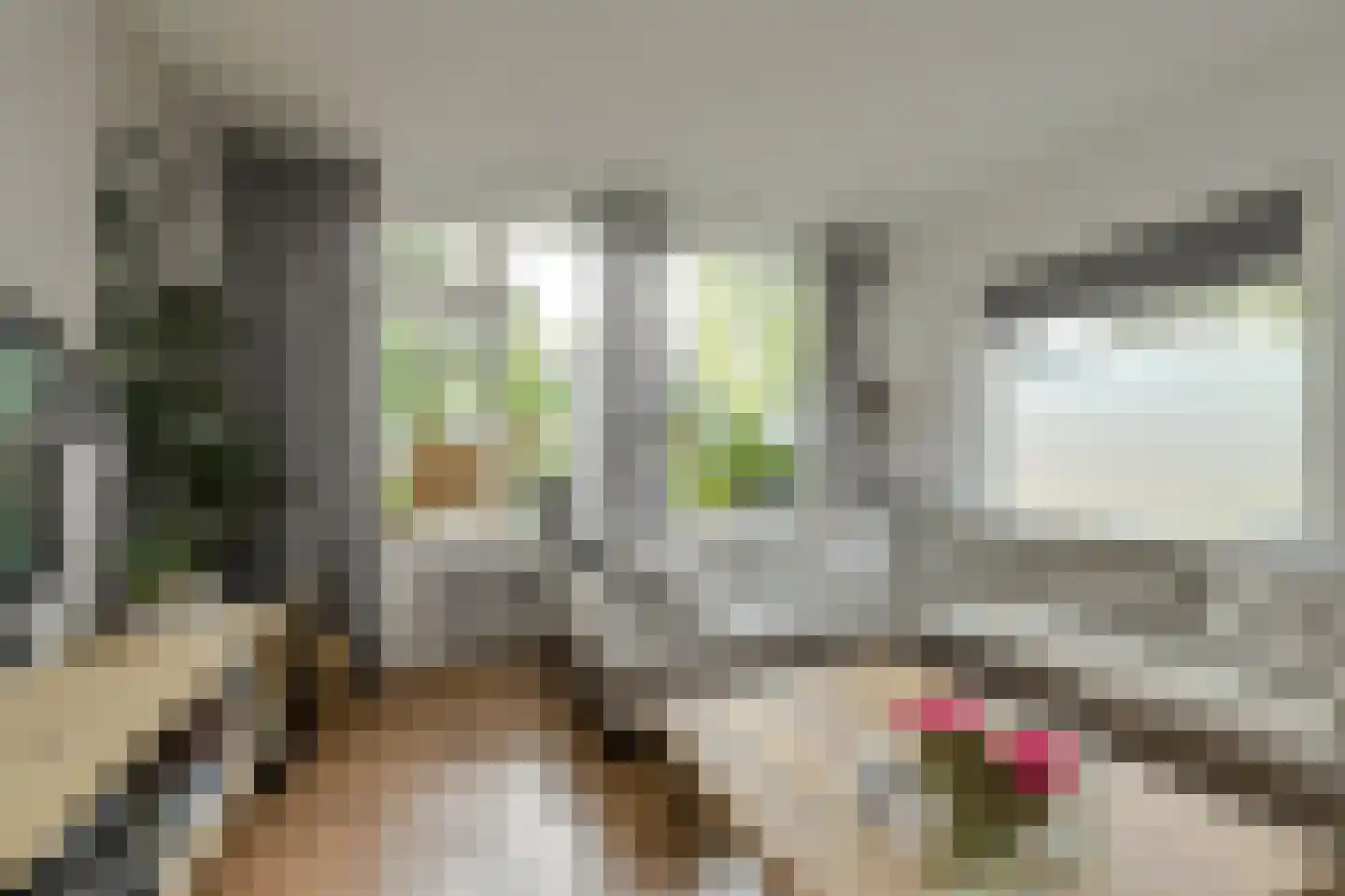 Beethovenlaan 32 Oosterhout thumbnail 6