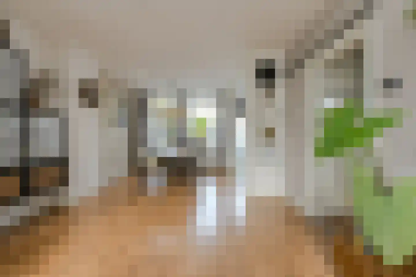Beethovenlaan 32 Oosterhout thumbnail 9