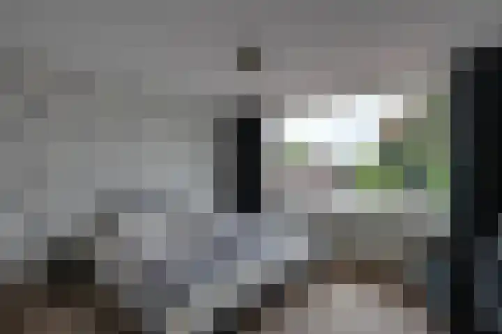 Beethovenlaan 321 Tilburg thumbnail 18