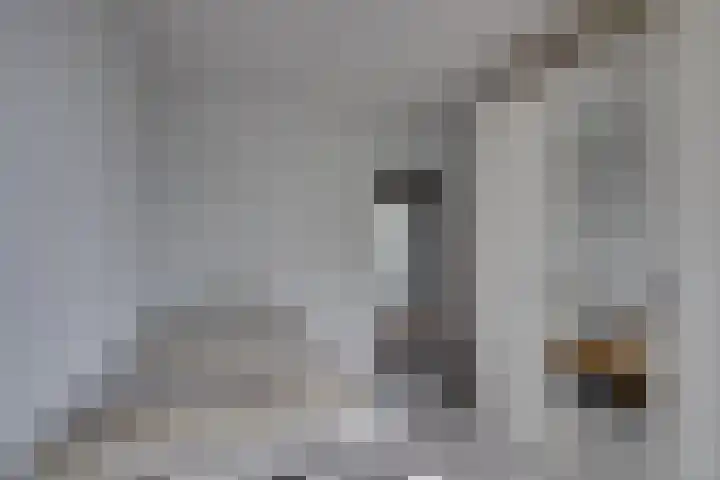 Beethovenlaan 321 Tilburg thumbnail 22