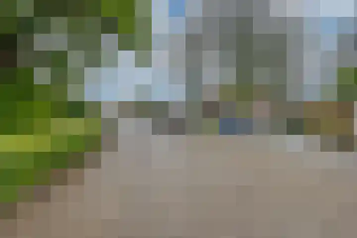 Beethovenlaan 321 Tilburg thumbnail 39