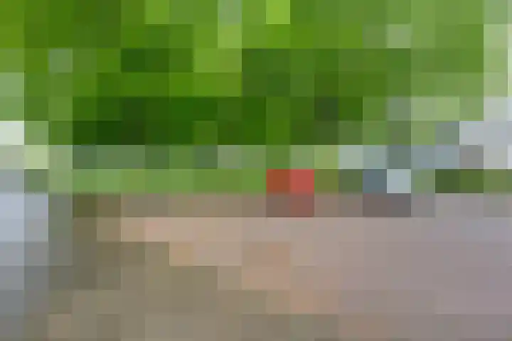 Beethovenlaan 321 Tilburg thumbnail 5