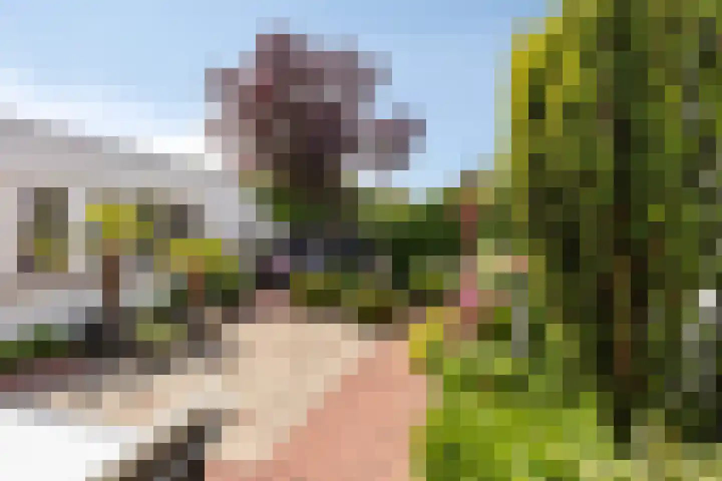 Beethovenlaan 33 Helmond thumbnail 30