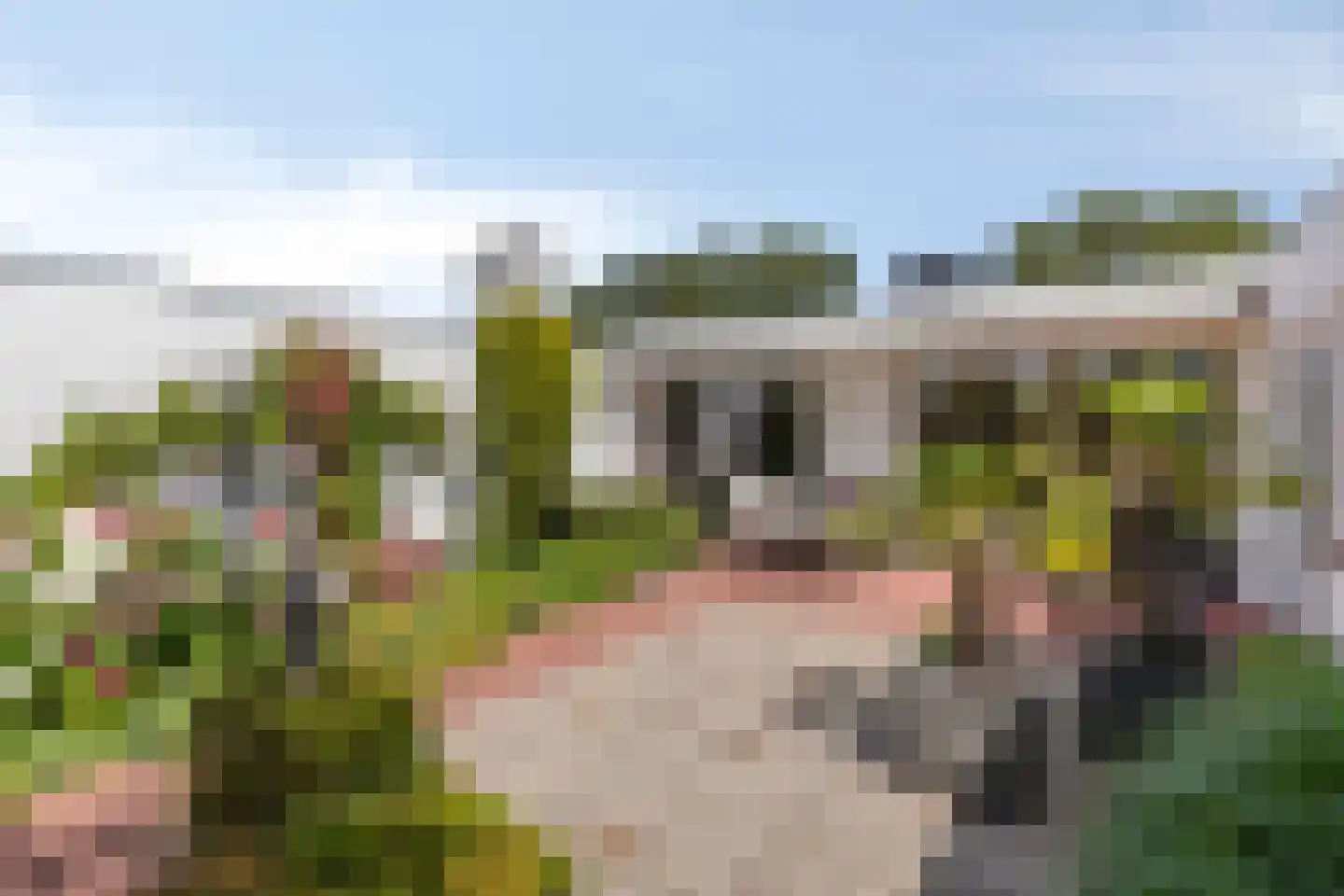Beethovenlaan 33 Helmond thumbnail 31