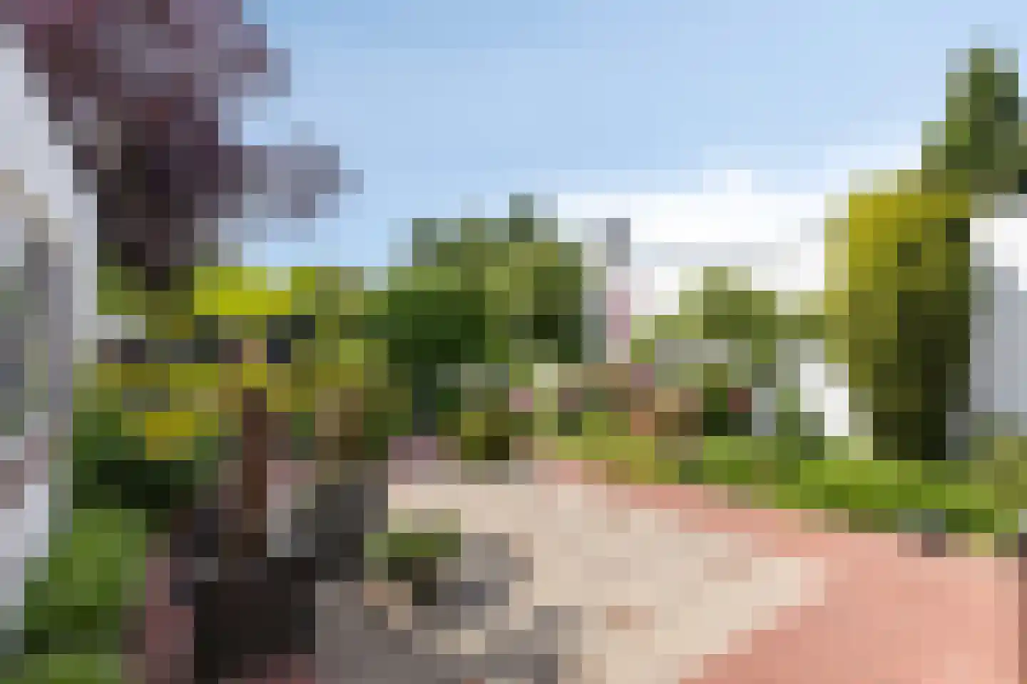 Beethovenlaan 33 Helmond thumbnail 5