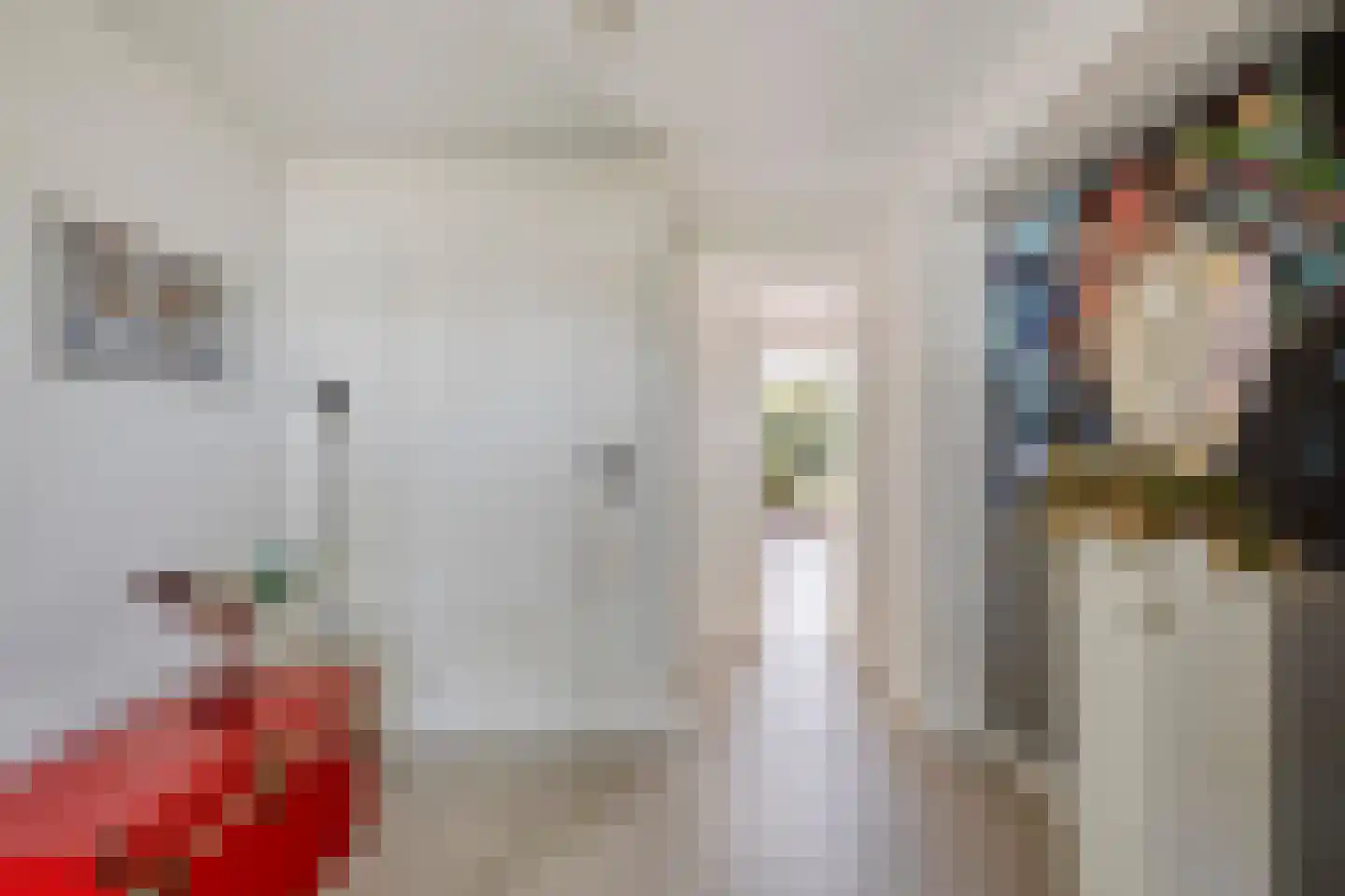 Beethovenlaan 33 Helmond thumbnail 8