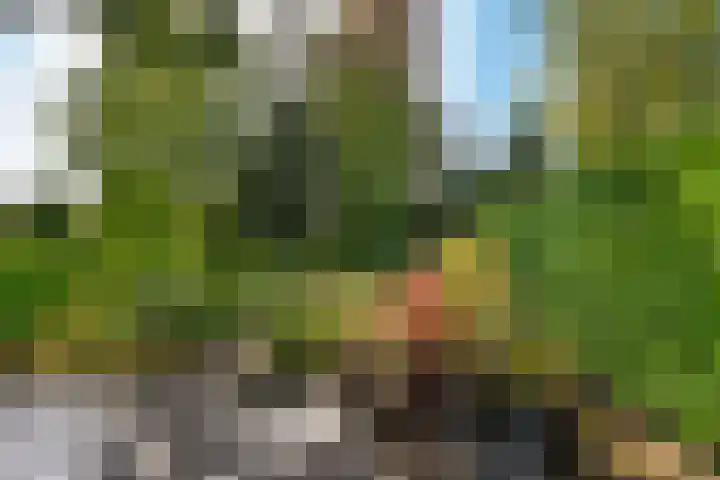 Beethovenlaan 34 Naarden thumbnail 19