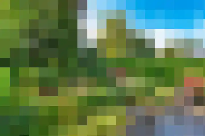 Beethovenlaan 34 Naarden thumbnail 20
