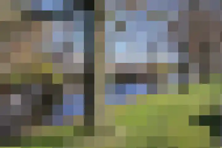 Beethovenlaan 34 Naarden thumbnail 41