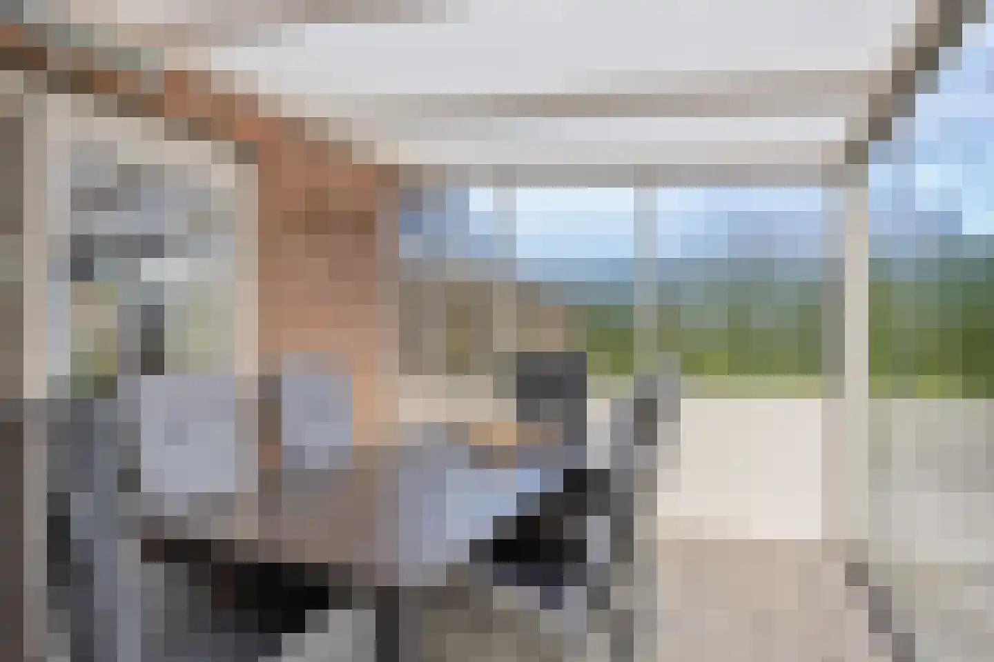 Beethovenlaan 35 Etten thumbnail 21