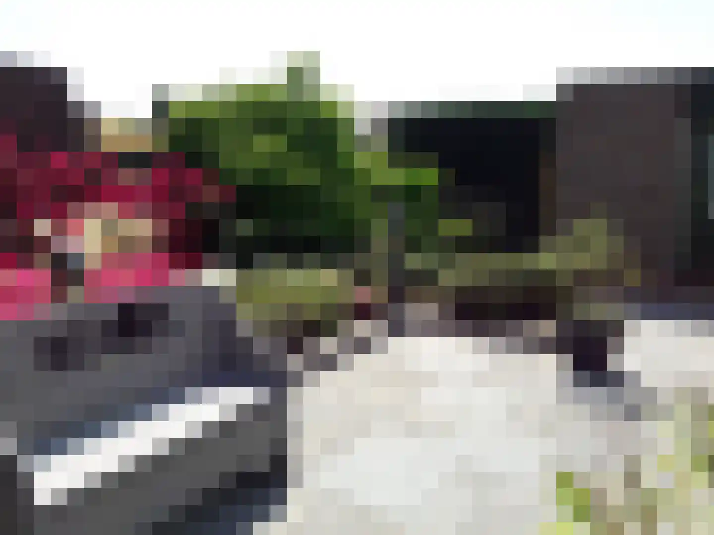 Beethovenlaan 35 Etten thumbnail 39