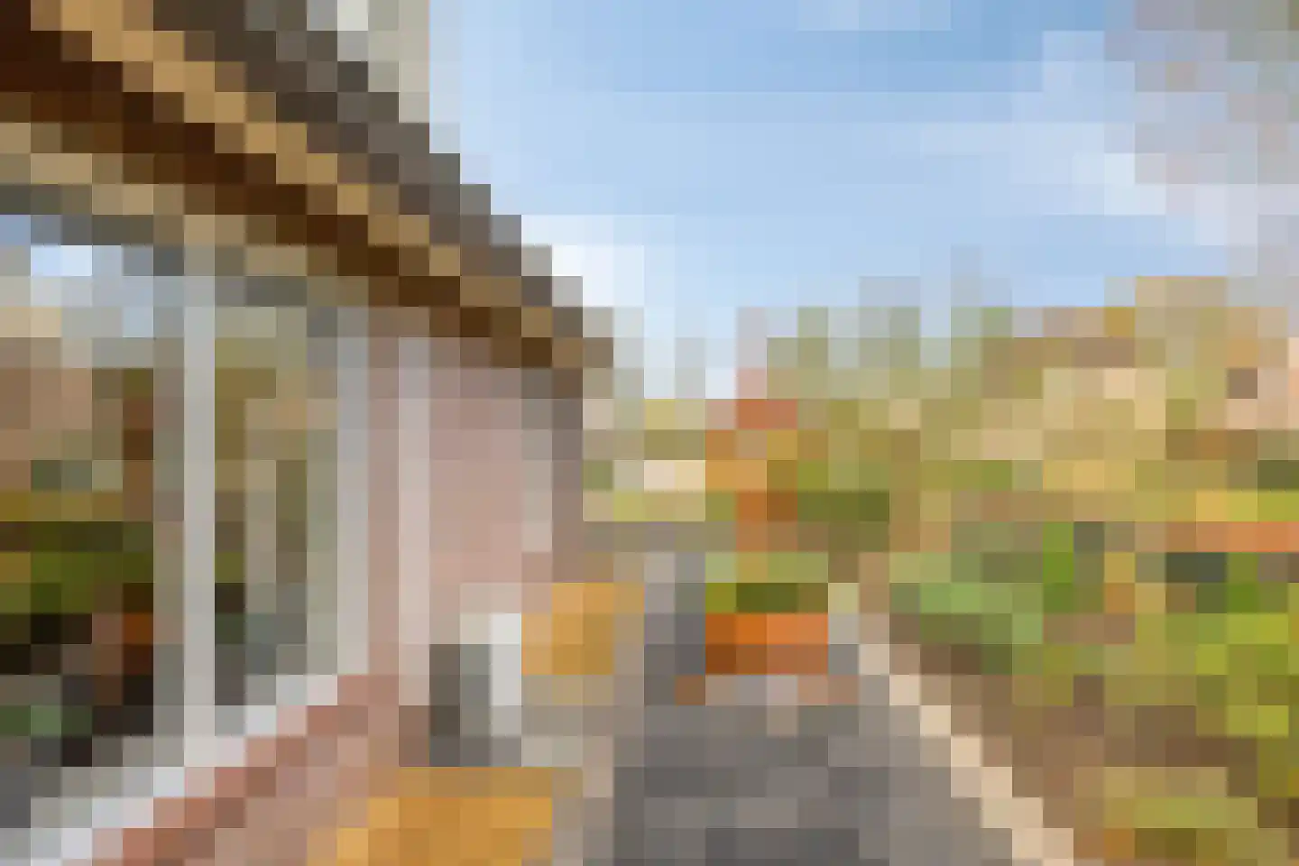 Beethovenlaan 35 Etten thumbnail 42