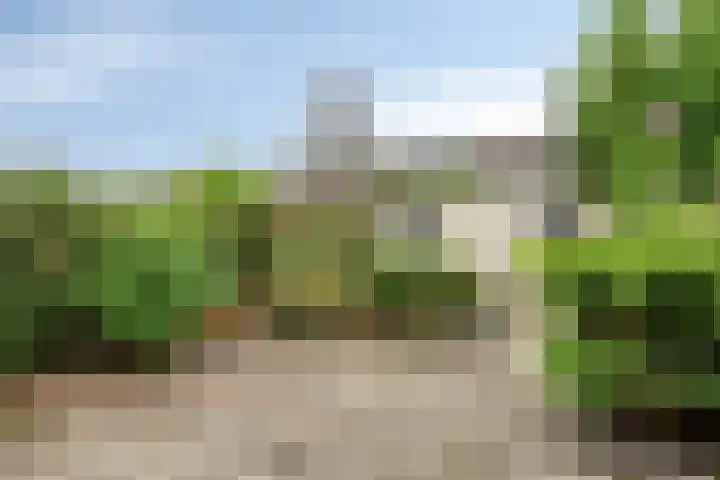 Beethovenlaan 356 Tilburg thumbnail 4