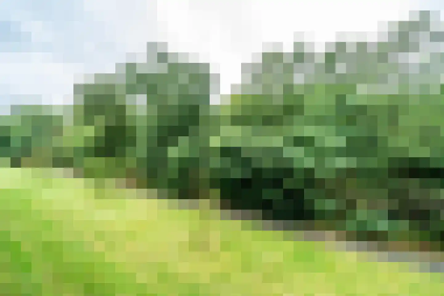 Beethovenlaan 357 Doorwerth thumbnail 19