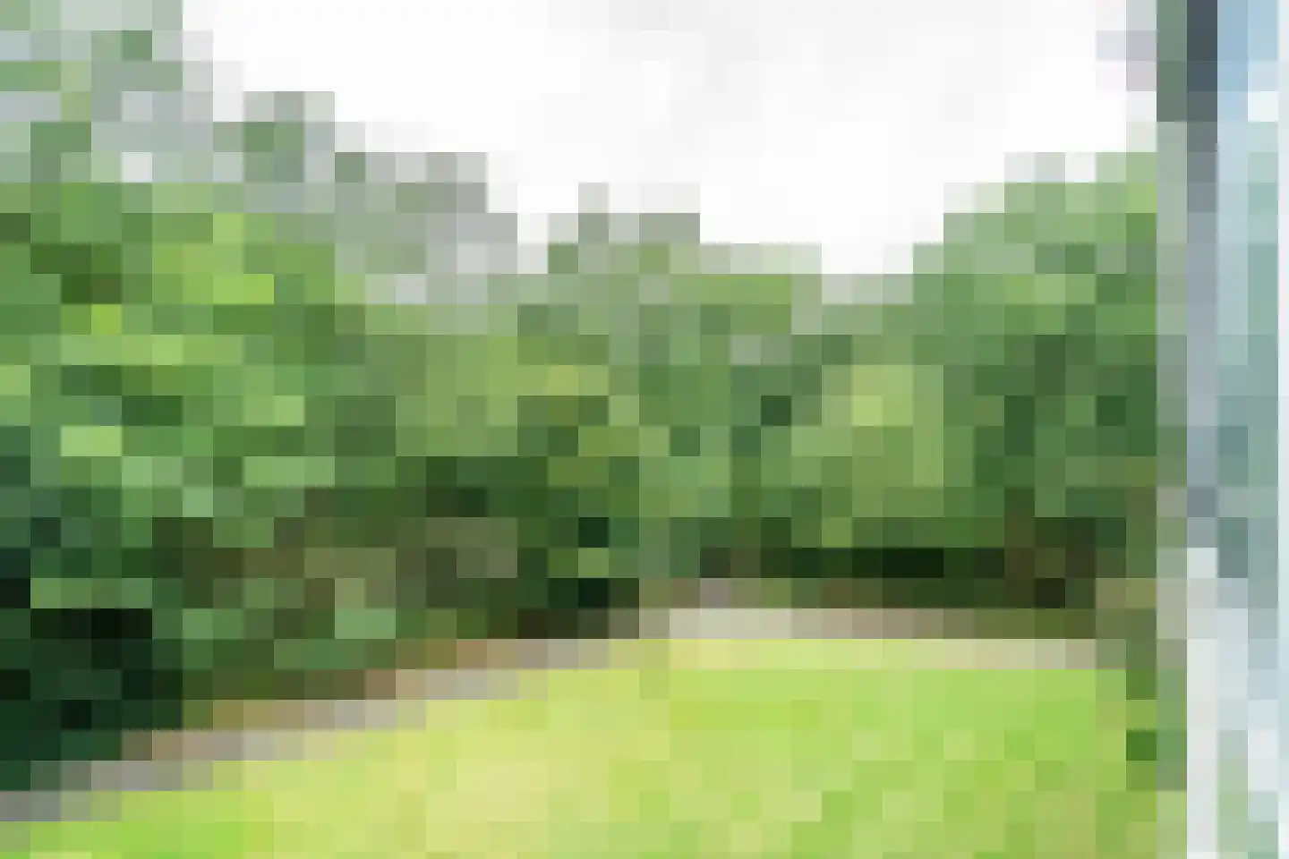 Beethovenlaan 357 Doorwerth thumbnail 20