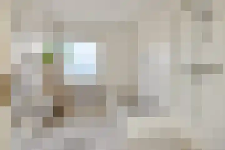 Beethovenlaan 36 Deurne thumbnail 24