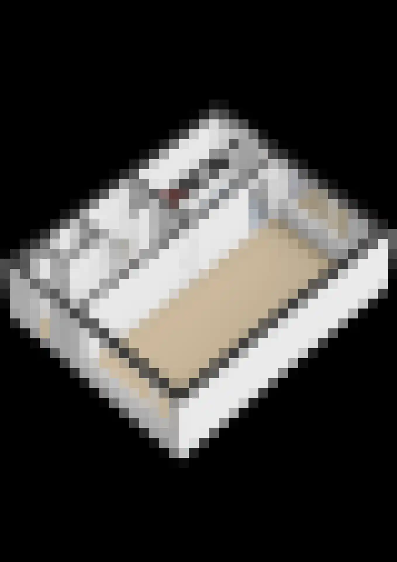 Beethovenlaan 38 Waddinxveen thumbnail 42