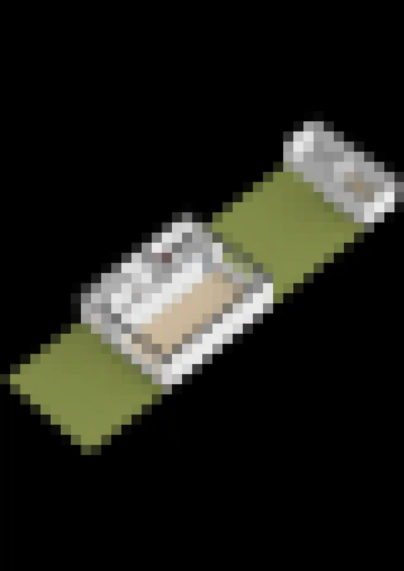 Beethovenlaan 38 Waddinxveen thumbnail 47