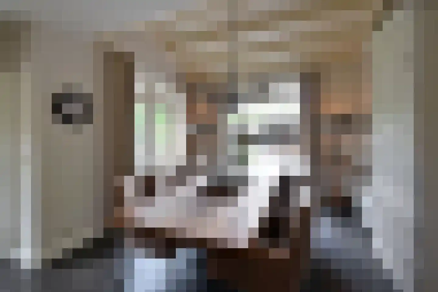 Beethovenlaan 4 Huizen thumbnail 12