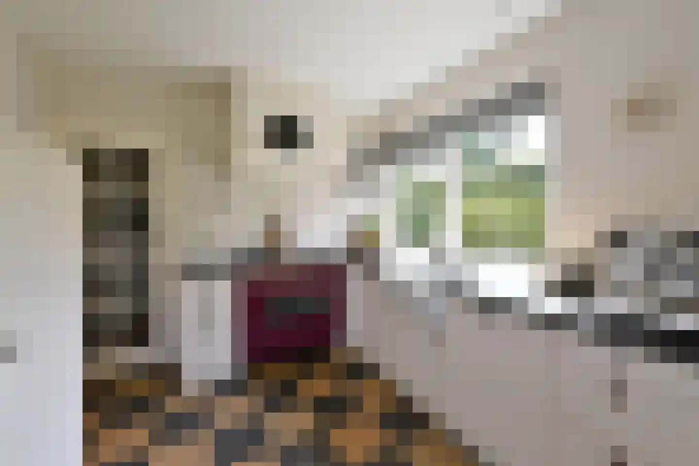 Beethovenlaan 4 Huizen thumbnail 14