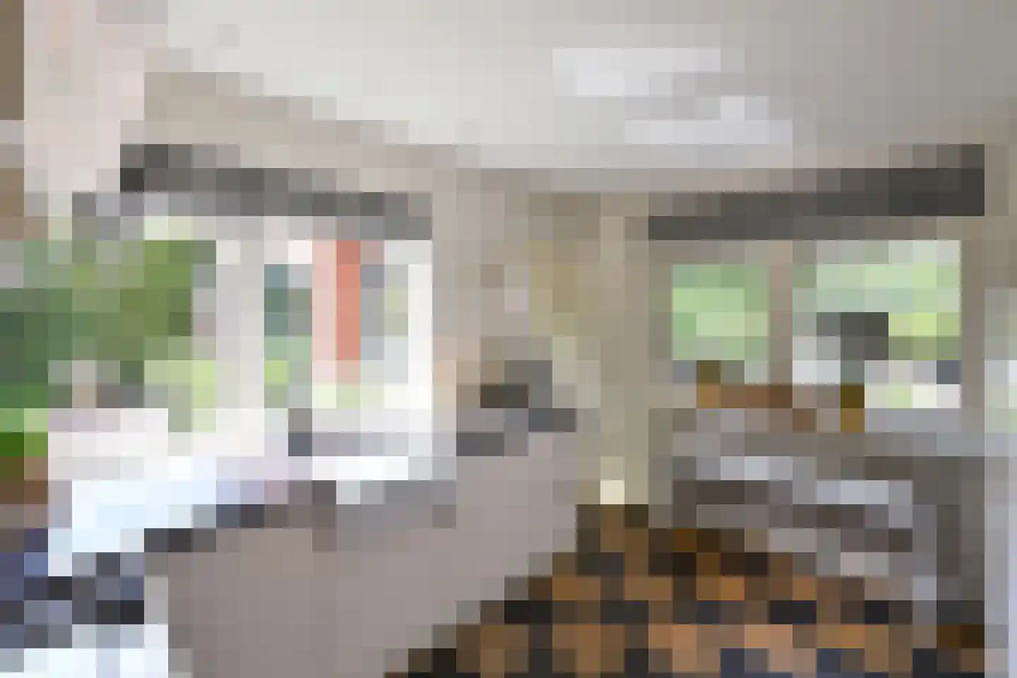 Beethovenlaan 4 Huizen thumbnail 15