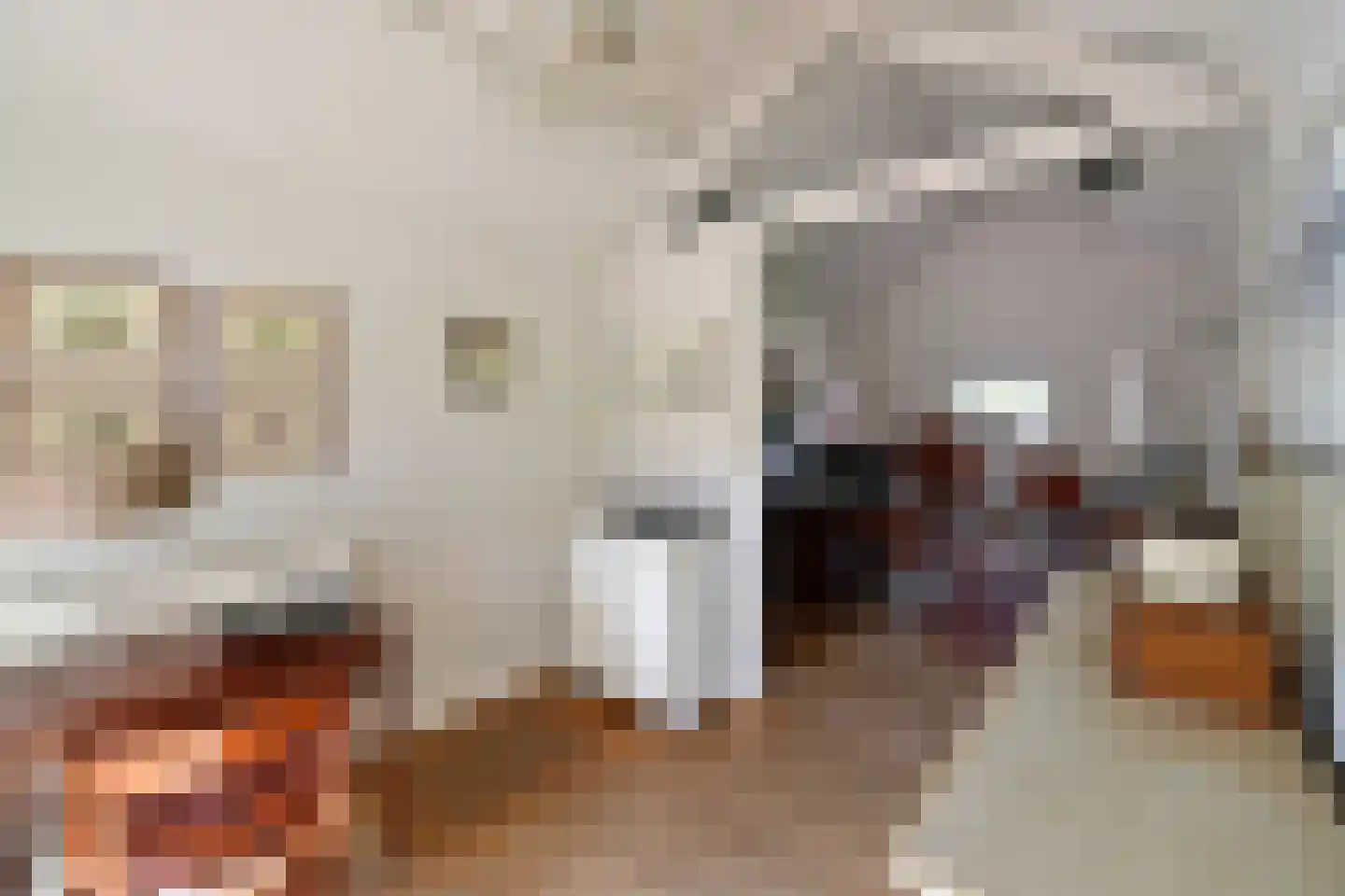 Beethovenlaan 4 Huizen thumbnail 18