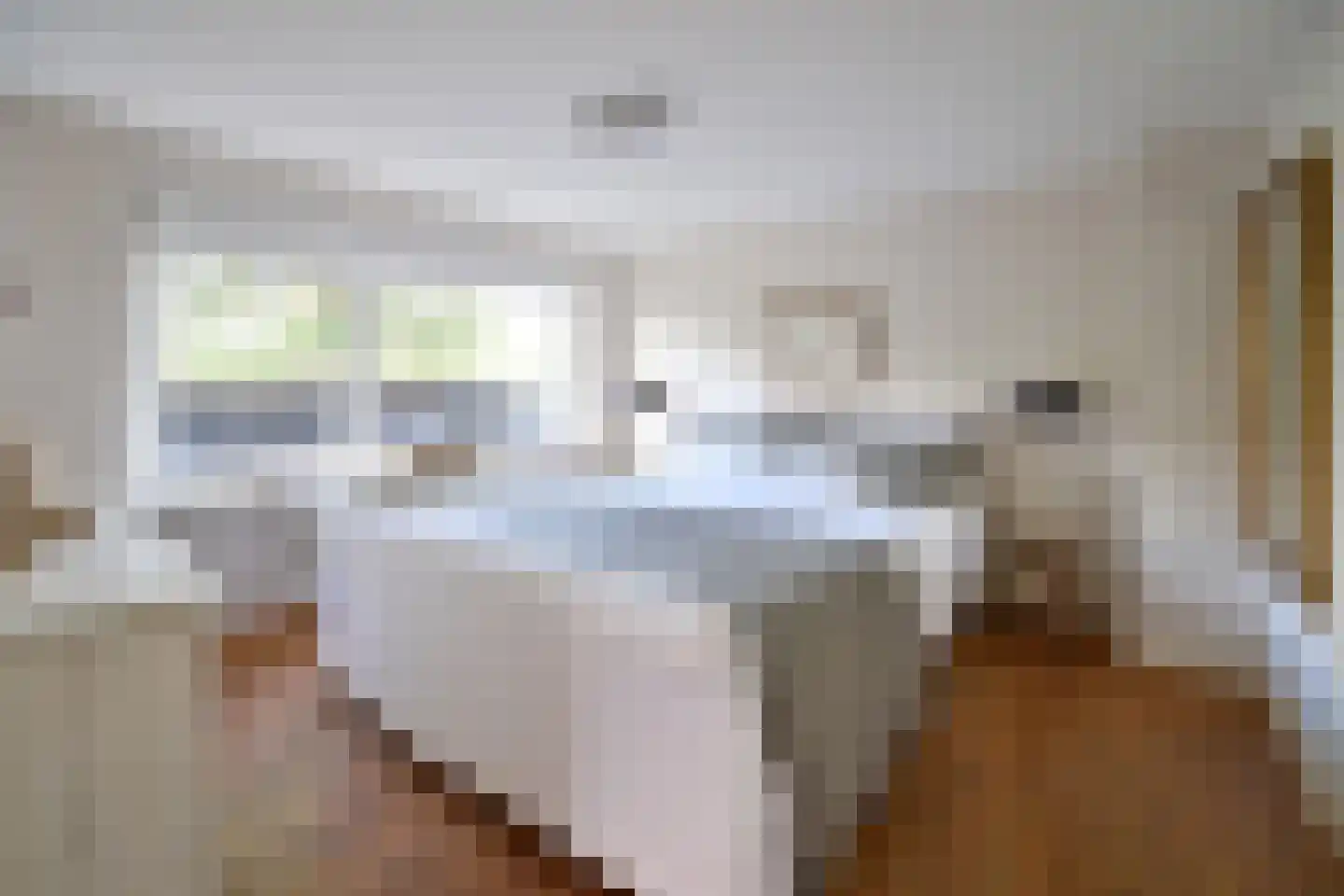 Beethovenlaan 4 Huizen thumbnail 25