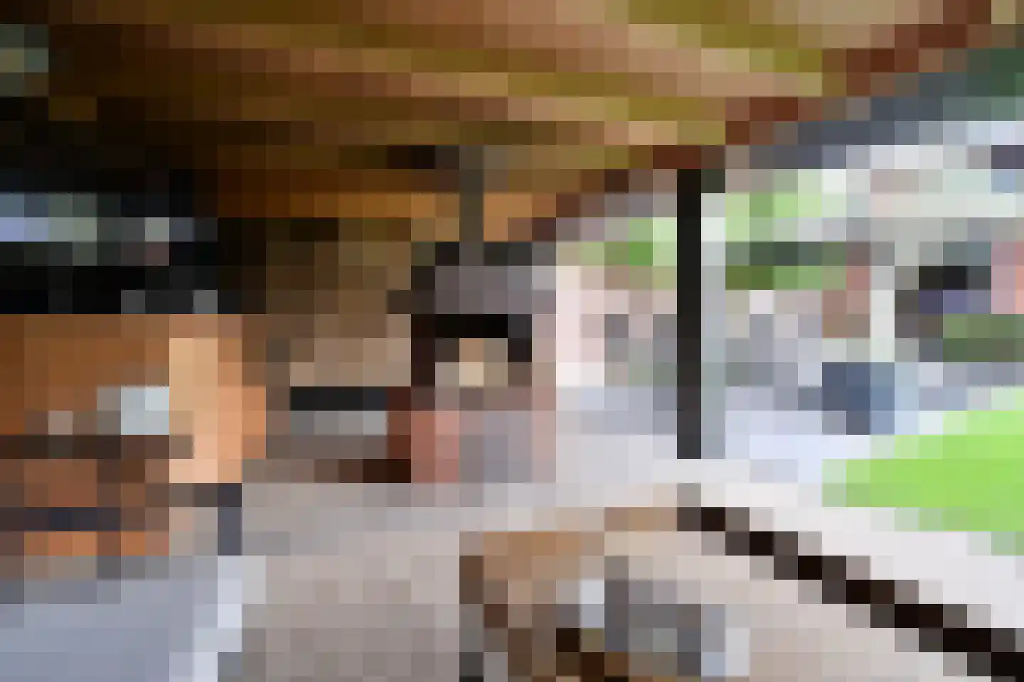 Beethovenlaan 4 Huizen thumbnail 35