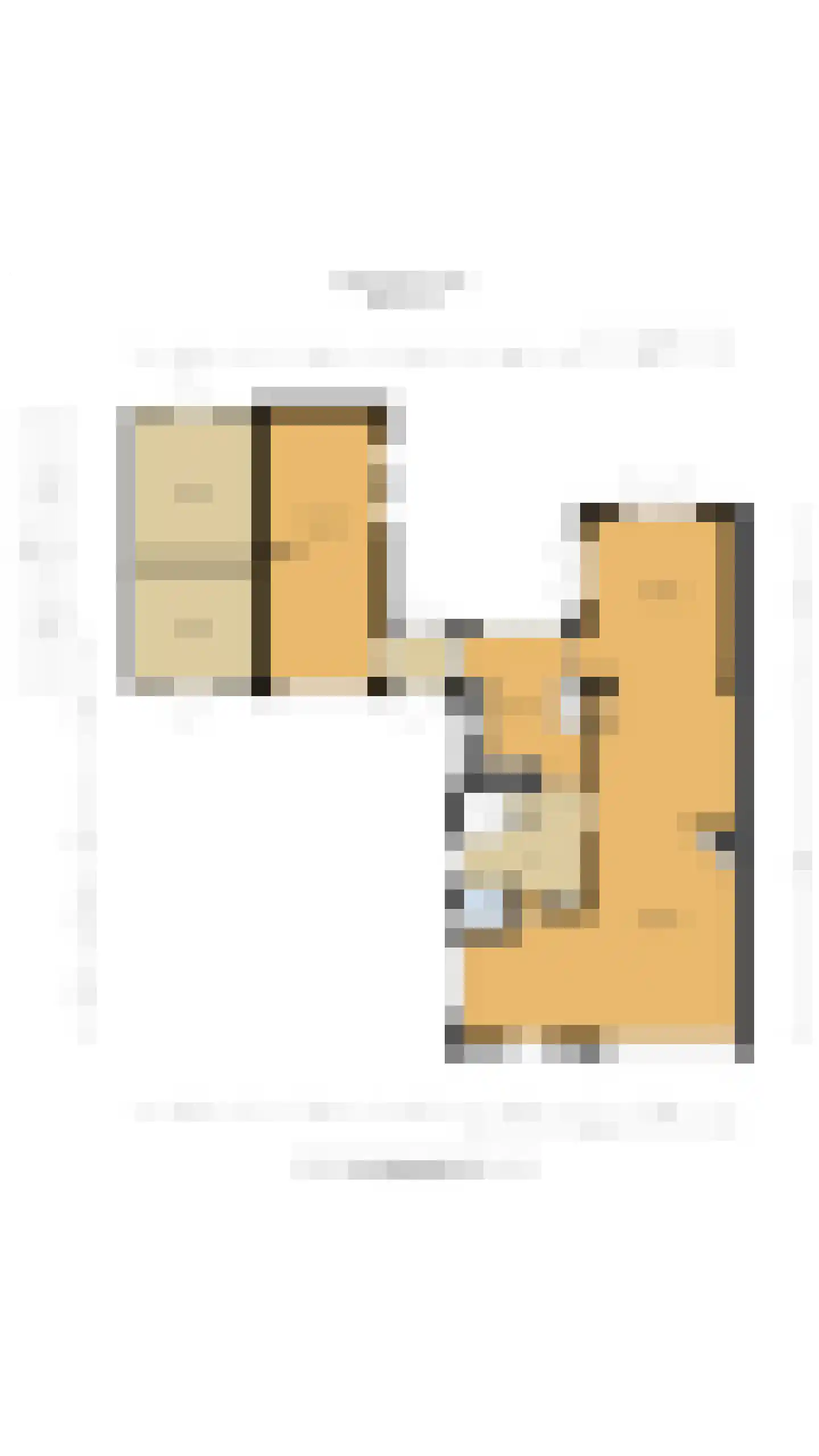 Beethovenlaan 4 Huizen thumbnail 37