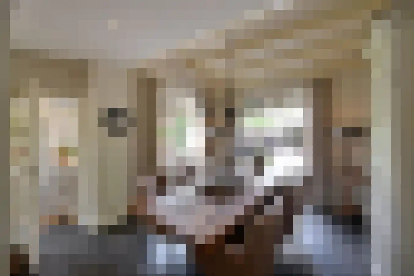 Beethovenlaan 4 Huizen thumbnail 4