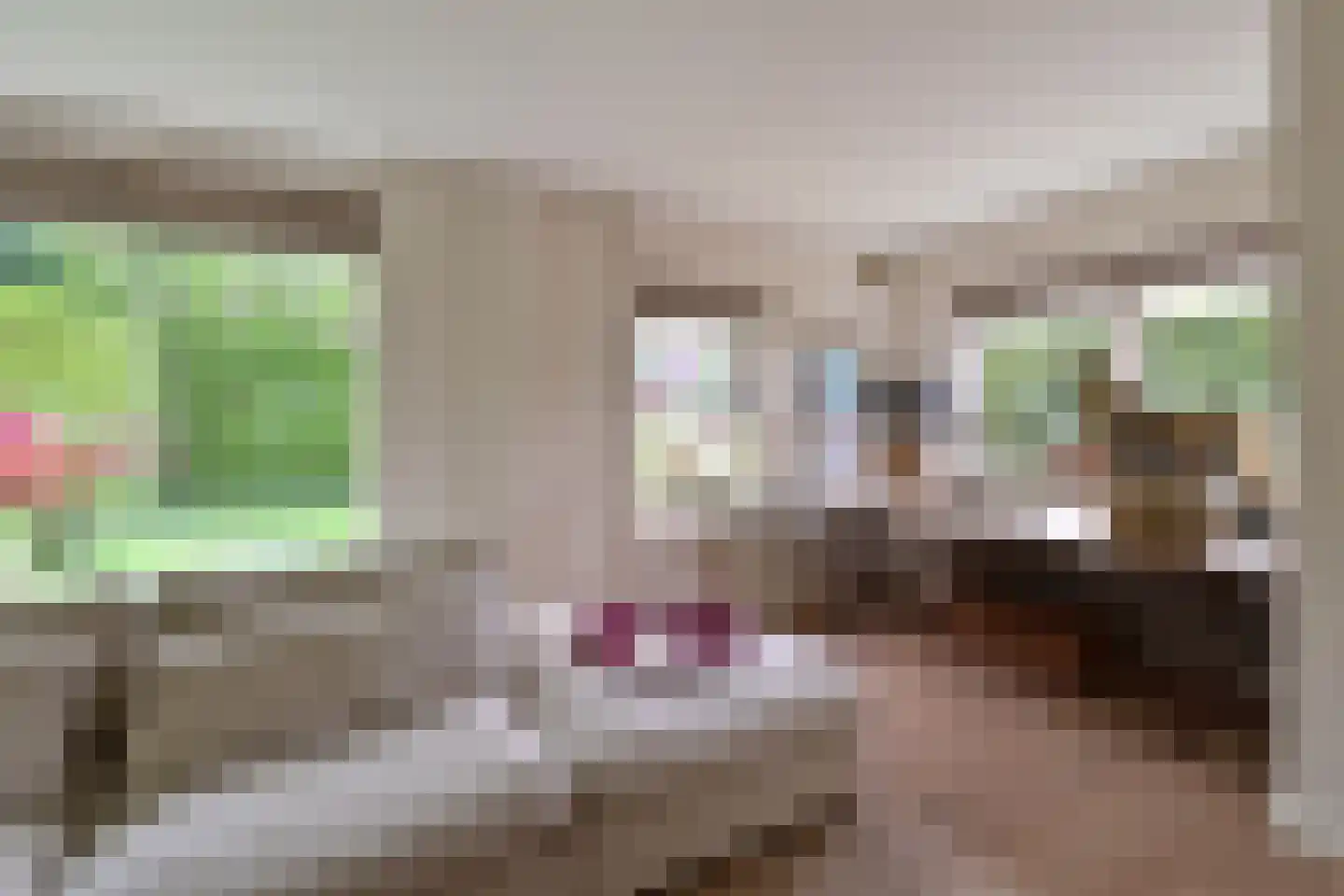Beethovenlaan 4 Huizen thumbnail 6
