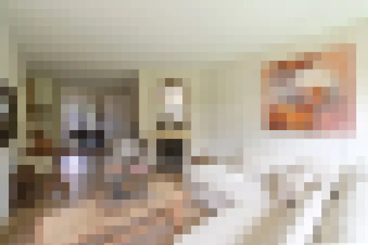 Beethovenlaan 4 Huizen thumbnail 7