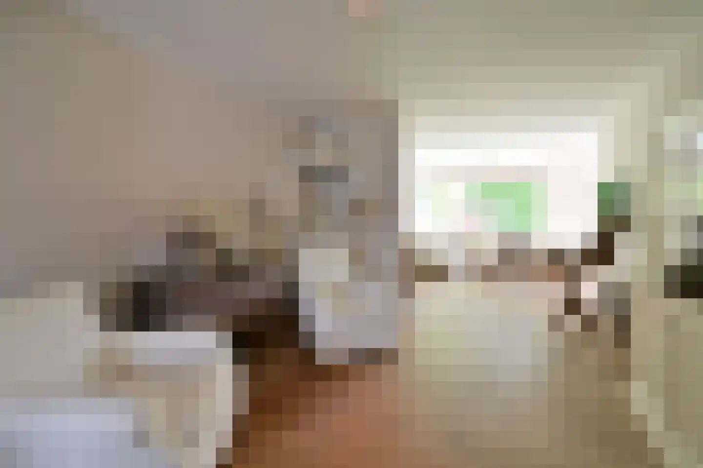 Beethovenlaan 4 Huizen thumbnail 9