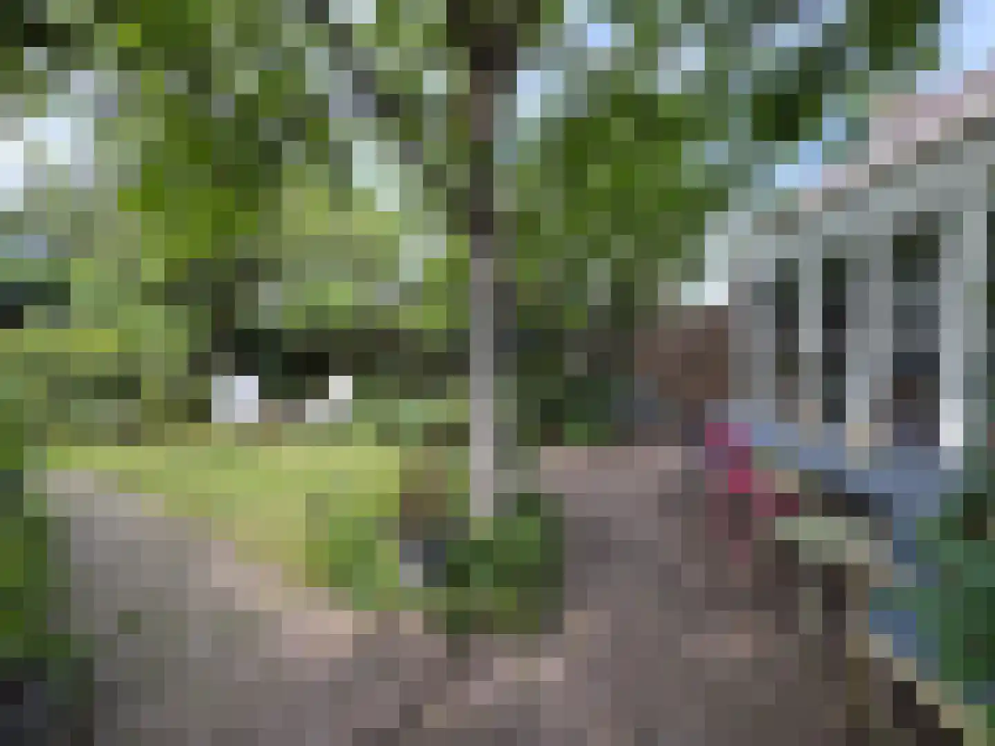 Beethovenlaan 4 Maarssen thumbnail 17