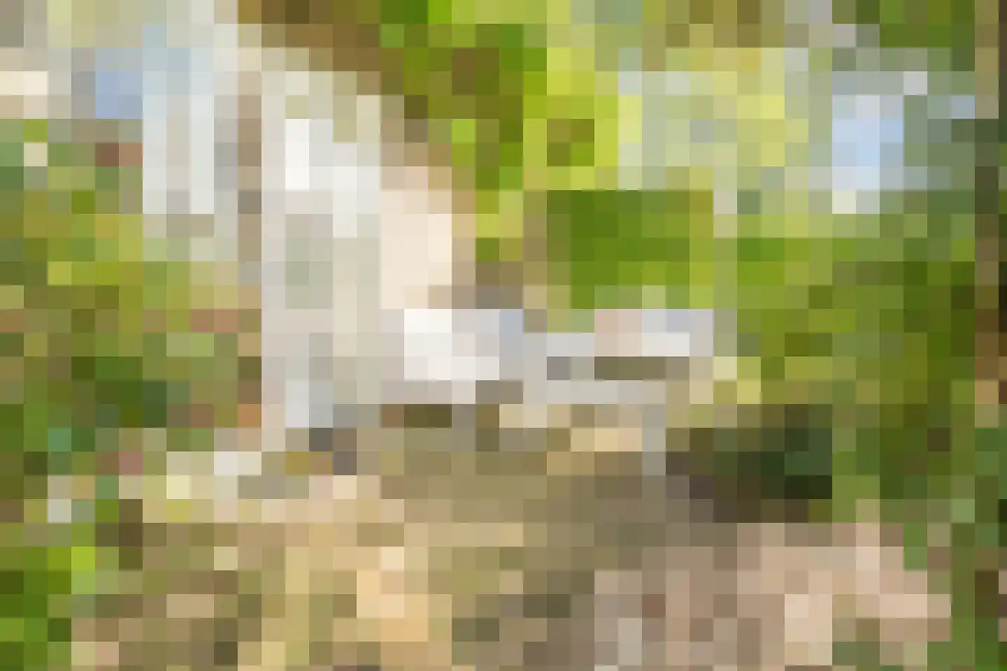 Beethovenlaan 4 Maarssen thumbnail 22