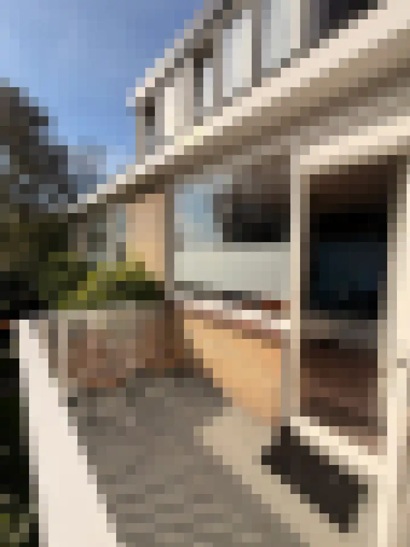 Beethovenlaan 4 Maarssen thumbnail 33