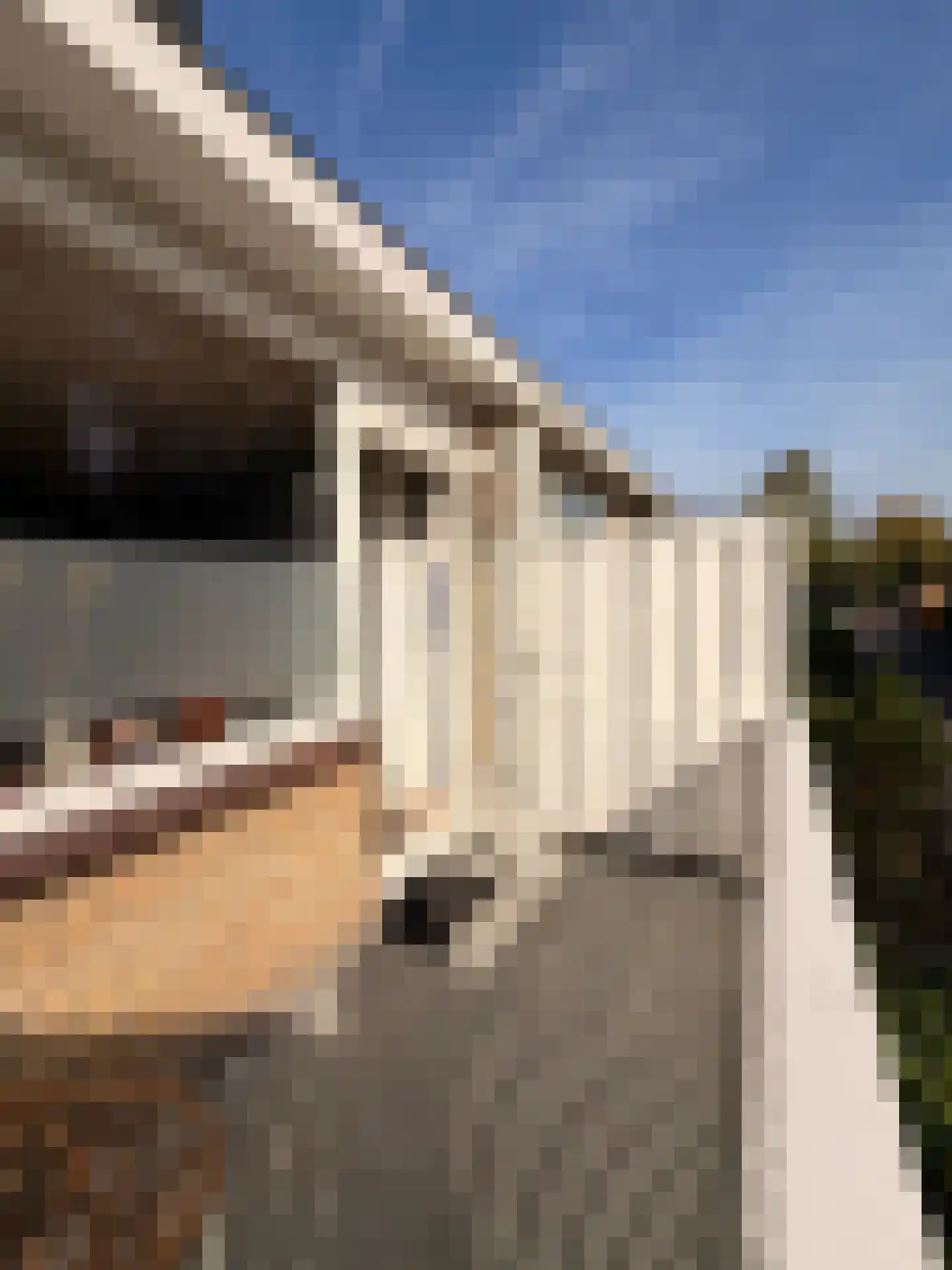 Beethovenlaan 4 Maarssen thumbnail 34