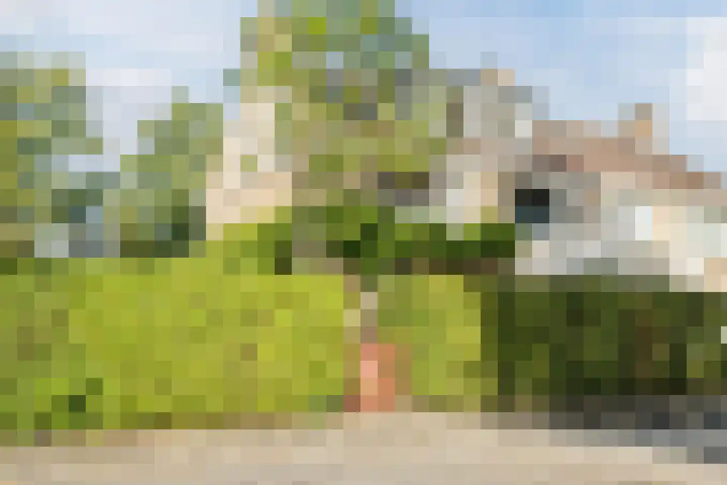 Beethovenlaan 4 Maarssen thumbnail 47