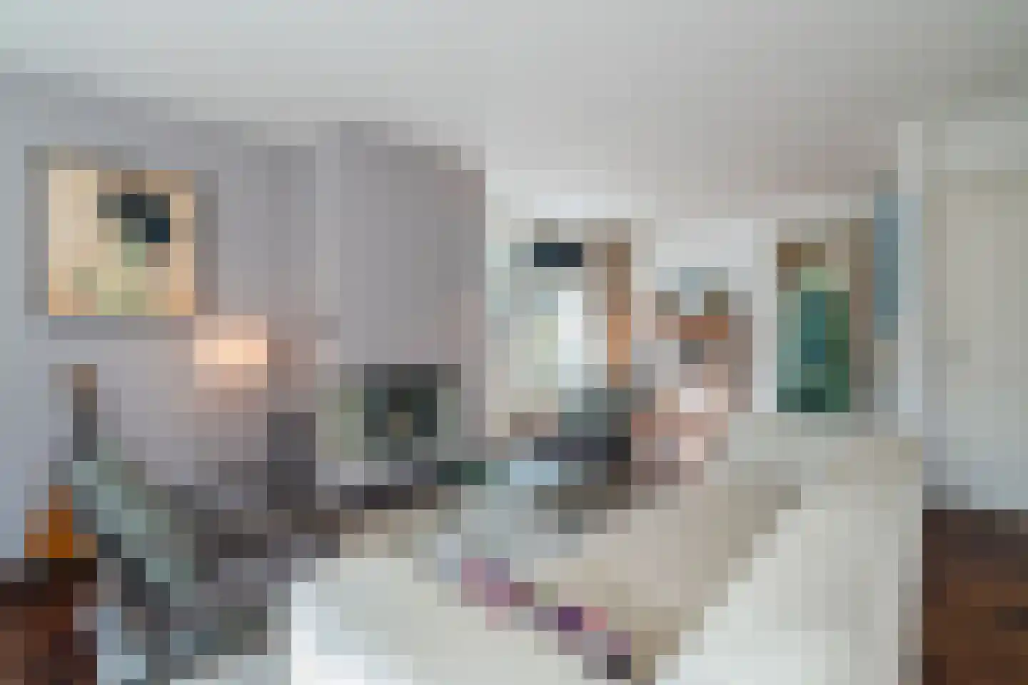 Beethovenlaan 4 Maarssen thumbnail 9