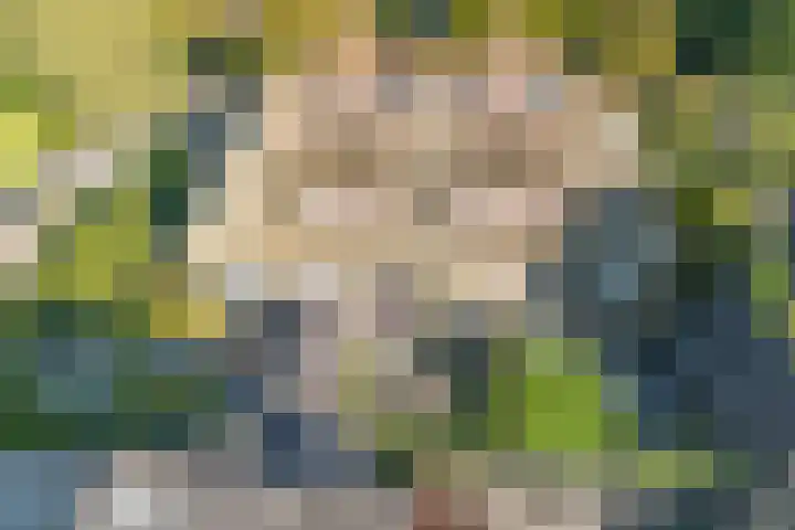 Beethovenlaan 4 Naarden thumbnail 10