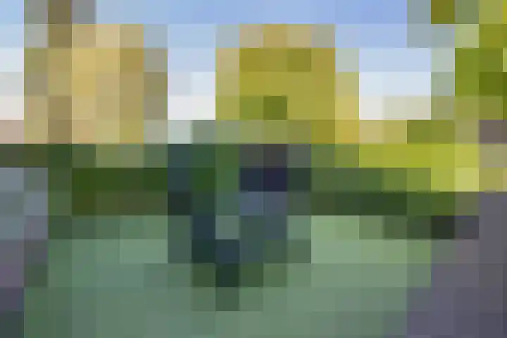 Beethovenlaan 4 Naarden thumbnail 11